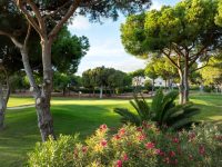 Pinhal Course