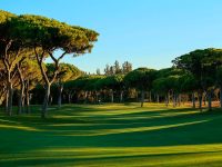 Millennium Course
