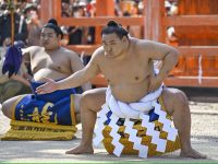 Sumo