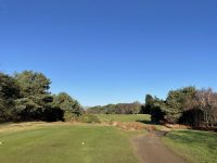 Incredible weather for Mid December