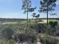 The new  "Torre" course